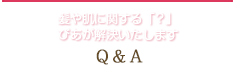 Q&A